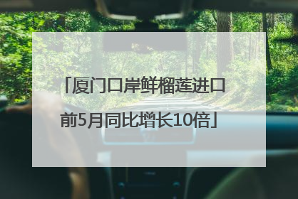厦门口岸鲜榴莲进口 前5月同比增长10倍