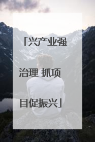 兴产业强治理 抓项目促振兴