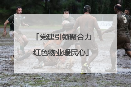党建引领聚合力 红色物业暖民心