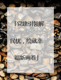 党建引领解民忧，绘就幸福新画卷