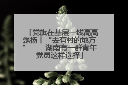 党旗在基层一线高高飘扬丨“去有村的地方”——湖南有一群青年党员这样选择