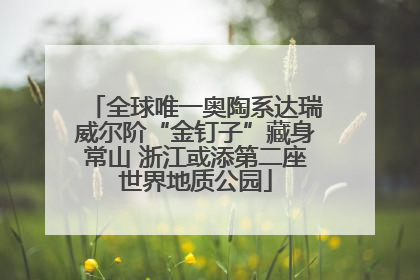 全球唯一奥陶系达瑞威尔阶“金钉子”藏身常山 浙江或添第二座世界地质公园