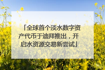 全球首个淡水数字资产代币于迪拜推出，开启水资源交易新尝试