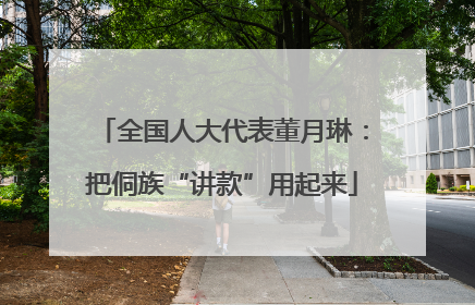 全国人大代表董月琳：把侗族“讲款”用起来