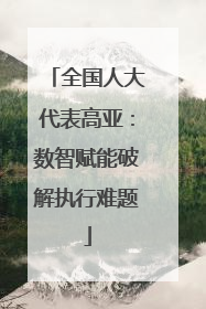 全国人大代表高亚：数智赋能破解执行难题
