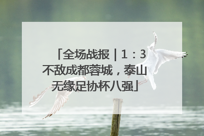 全场战报｜1：3不敌成都蓉城，泰山无缘足协杯八强