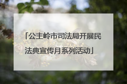 公主岭市司法局开展民法典宣传月系列活动