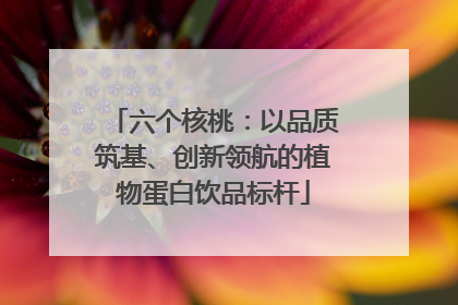 六个核桃：以品质筑基、创新领航的植物蛋白饮品标杆