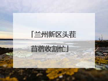 兰州新区头茬苜蓿收割忙