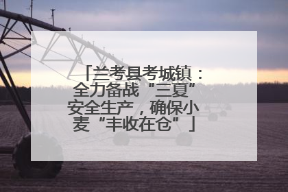 兰考县考城镇：全力备战“三夏”安全生产，确保小麦“丰收在仓”