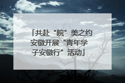 共赴“皖”美之约 安徽开展“青年学子安徽行”活动
