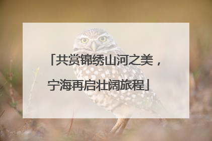 共赏锦绣山河之美，宁海再启壮阔旅程