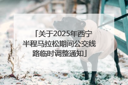 关于2025年西宁半程马拉松期间公交线路临时调整通知