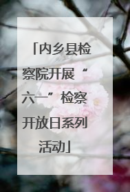 内乡县检察院开展“六一”检察开放日系列活动