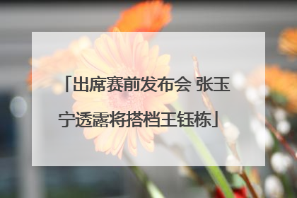 出席赛前发布会 张玉宁透露将搭档王钰栋
