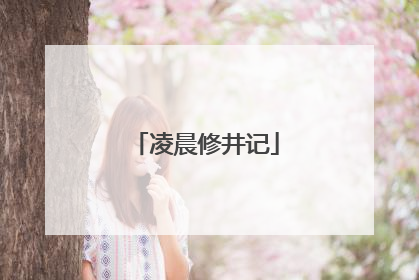凌晨修井记