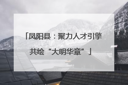 凤阳县：聚力人才引擎 共绘“大明华章”