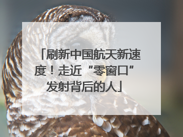 刷新中国航天新速度！走近“零窗口”发射背后的人