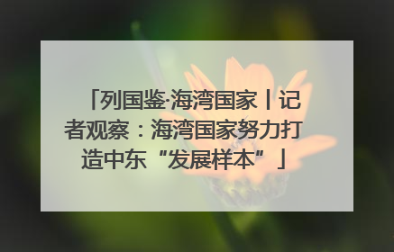 列国鉴·海湾国家丨记者观察：海湾国家努力打造中东“发展样本”