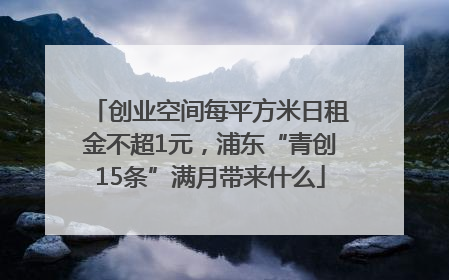 创业空间每平方米日租金不超1元，浦东“青创15条”满月带来什么