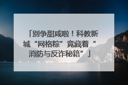 别争甜咸啦！科教新城“网格粽”竟藏着“消防与反诈秘籍”