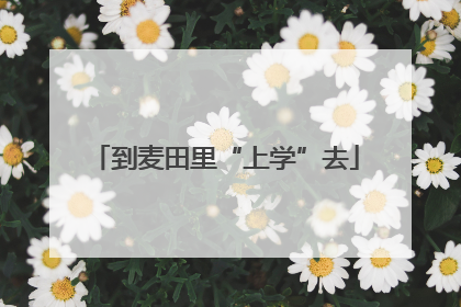 到麦田里“上学”去