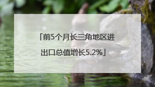 前5个月长三角地区进出口总值增长5.2%