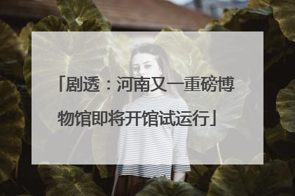 剧透：河南又一重磅博物馆即将开馆试运行