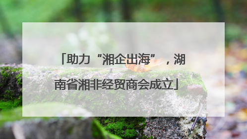 助力“湘企出海”，湖南省湘非经贸商会成立