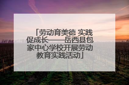 劳动育美德 实践促成长——岳西县包家中心学校开展劳动教育实践活动
