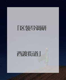 区领导调研西渡街道
