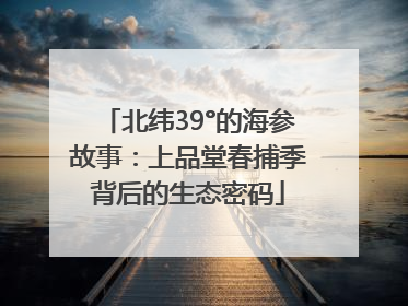 北纬39°的海参故事：上品堂春捕季背后的生态密码