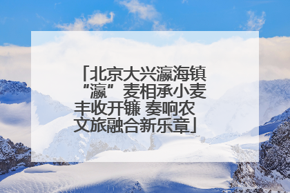 北京大兴瀛海镇“瀛”麦相承小麦丰收开镰 奏响农文旅融合新乐章