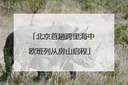 北京首趟跨里海中欧班列从房山启程