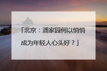 北京：潘家园何以悄悄成为年轻人心头好？