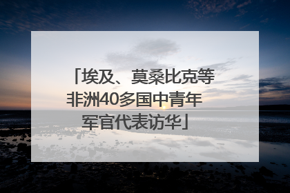 埃及、莫桑比克等非洲40多国中青年军官代表访华