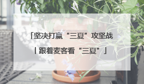 坚决打赢“三夏”攻坚战丨跟着麦客看“三夏”