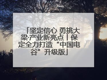 坚定信心 勇挑大梁·产业新亮点丨保定全力打造“中国电谷”升级版