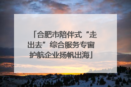 合肥市陪伴式“走出去”综合服务专窗护航企业扬帆出海