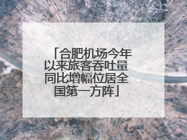 合肥机场今年以来旅客吞吐量同比增幅位居全国第一方阵