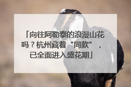 向往阿勒泰的浪漫山花吗？杭州藏着“同款”，已全面进入盛花期