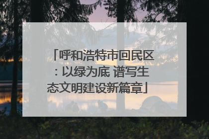 呼和浩特市回民区：以绿为底 谱写生态文明建设新篇章