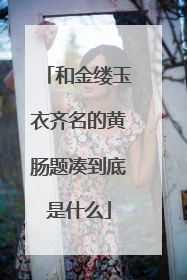 和金缕玉衣齐名的黄肠题凑到底是什么