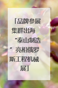 品牌参展集群出海 “泰山制造”亮相俄罗斯工程机械展