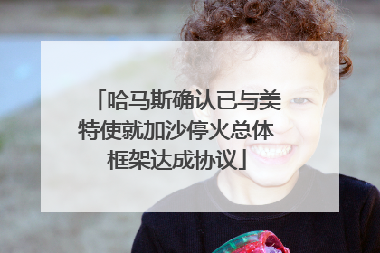 哈马斯确认已与美特使就加沙停火总体框架达成协议