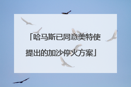 哈马斯已同意美特使提出的加沙停火方案