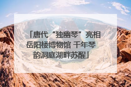 唐代“独幽琴”亮相岳阳楼博物馆 千年琴韵洞庭湖畔苏醒