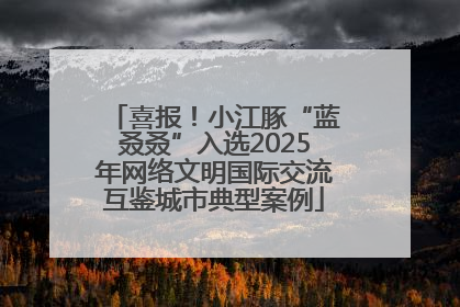 喜报！小江豚“蓝叒叒”入选2025年网络文明国际交流互鉴城市典型案例
