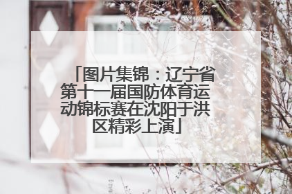 图片集锦：辽宁省第十一届国防体育运动锦标赛在沈阳于洪区精彩上演