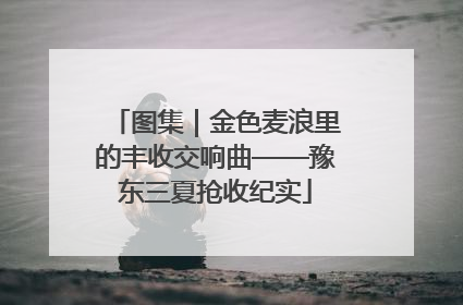 图集｜金色麦浪里的丰收交响曲——豫东三夏抢收纪实